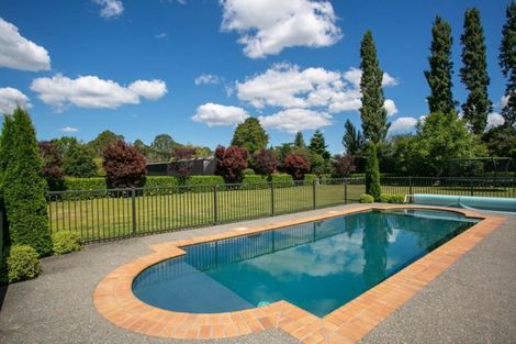 Photo of property in 48 Peake Road, Cambridge, Hamilton, 3283