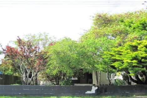 Photo of property in 47 Dalrymple Road, Mangapapa, Gisborne, 4010