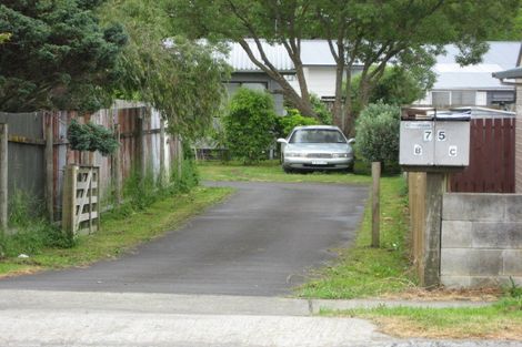 Photo of property in 75a Princes Street, Pukekohe, 2120