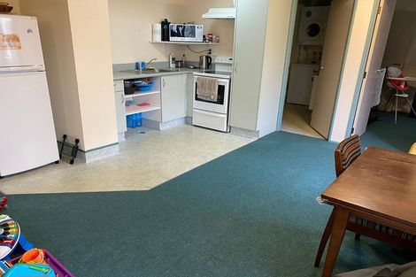 Photo of property in Palm Grove Apartments, 4/13c Palm Grove, Berhampore, Wellington, 6023