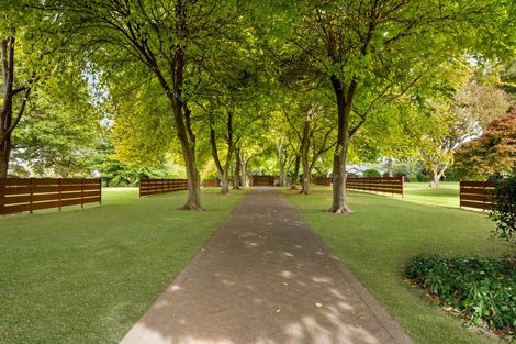 Photo of property in 59a Western Avenue, Omokoroa, 3114