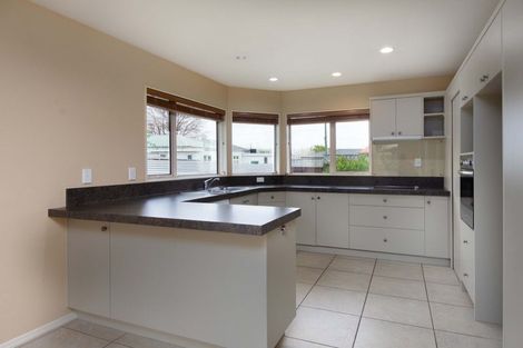 Photo of property in 100a Alfred Street, Blenheim, 7201