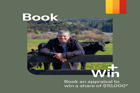 Photo of property in 3660 Highway 22, Naike, Huntly, 3772