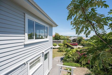 Photo of property in 117 Halifax Street East, The Wood, Nelson, 7010