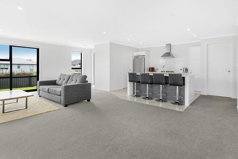 Photo of property in 217 Borman Road, Rototuna North, Hamilton, 3210