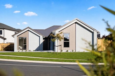 Photo of property in 32 Rongoa Maori Way, Pukekohe, 2120