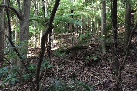 Photo of property in 16 Waikarekare Lane, Karekare, Auckland, 0772