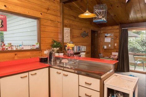 Photo of property in 29 Colcord Place, Methven, 7730