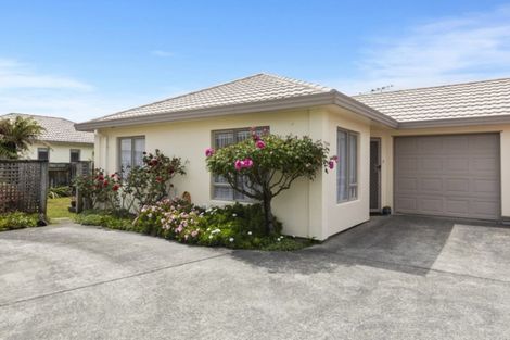 Photo of property in 58a Molesworth Street, Taita, Lower Hutt, 5011