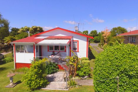 Photo of property in 152 Taupo Street, Putaruru, 3411