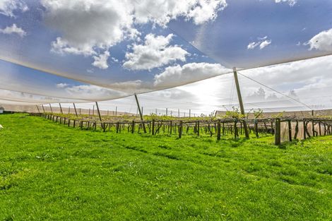 Photo of property in 231 Walford Road, Aongatete, Katikati, 3181