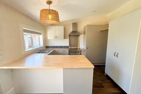 Photo of property in 26 Newcastle Street, Phillipstown, Christchurch, 8011