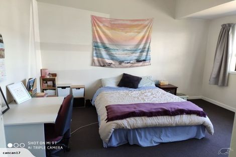 Photo of property in 50 Te Wharepouri Street, Berhampore, Wellington, 6023