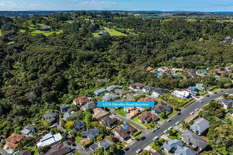 Photo of property in 117a Glendhu Road, Bayview, Auckland, 0629