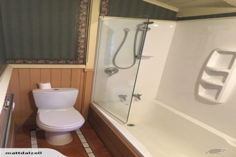 Photo of property in 17 Merchiston Street, Andersons Bay, Dunedin, 9013