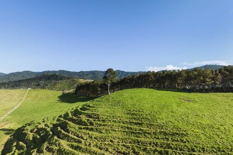 Photo of property in 309c Wentworth Valley Road, Whangamata, 3691