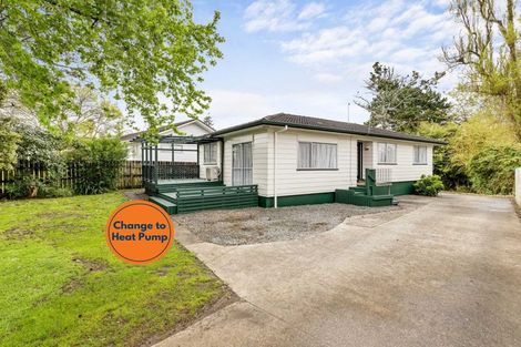 Photo of property in 137 Universal Drive, Henderson, Auckland, 0610