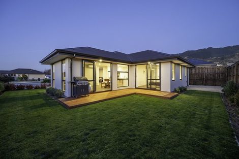 Photo of property in 20 Hart Road, Richmond, 7020