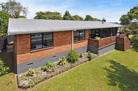 Photo of property in 22 Dominion Road, Tuakau, 2121