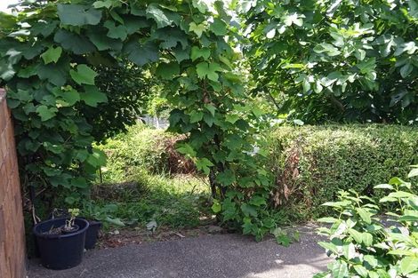 Photo of property in 42 Westview Place, Tauriko, Tauranga, 3110