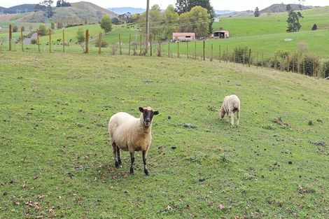 Photo of property in 583 Kopuku Road, Maramarua Forest, Te Kauwhata, 3781