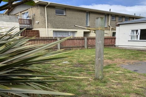 Photo of property in 224 Macandrew Road, Forbury, Dunedin, 9012