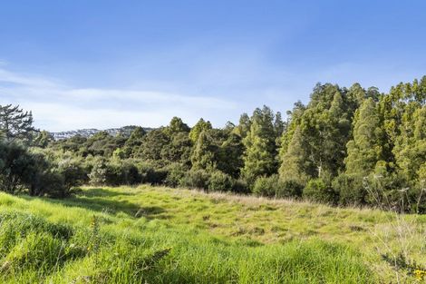 Photo of property in 88 Vaughans Road, Long Bay, Auckland, 0792