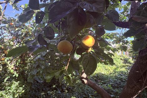 Photo of property in 12 Delhi Street, Wairoa, 4108