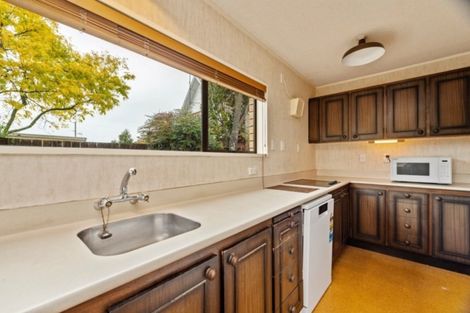 Photo of property in 25 Bailey Avenue, Claudelands, Hamilton, 3214