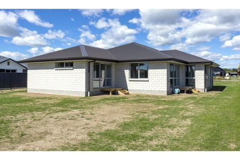 Photo of property in 77 Te Ngawai Road, Pleasant Point, 7903