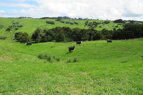 Photo of property in 134 Heatley Road, Whakapirau, Maungaturoto, 0583