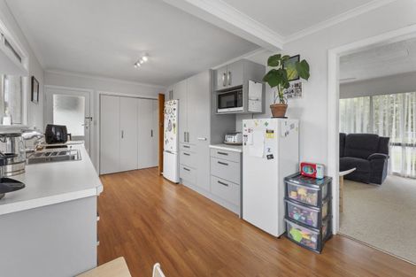 Photo of property in 29 Burn Street, Levin, 5510