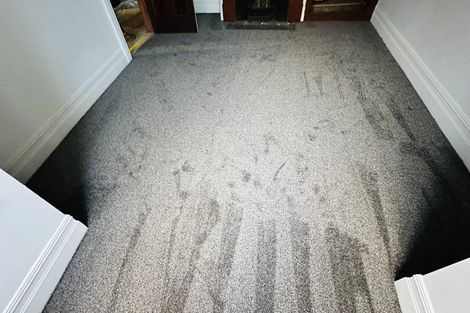 Photo of property in 6 Crown Street, North East Valley, Dunedin, 9010