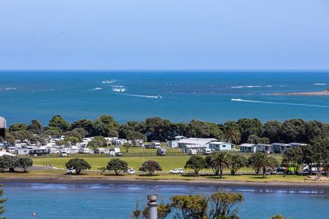 Photo of property in 18 Upper Bow Street, Raglan, 3225