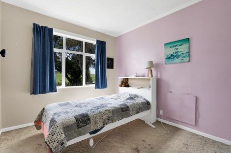 Photo of property in 49 Standish Road, Toko, Stratford, 4392
