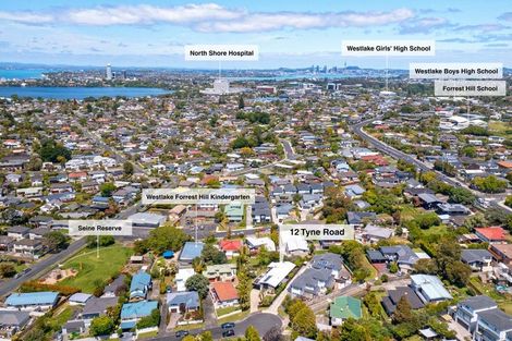 Photo of property in 12 Tyne Road, Forrest Hill, Auckland, 0620