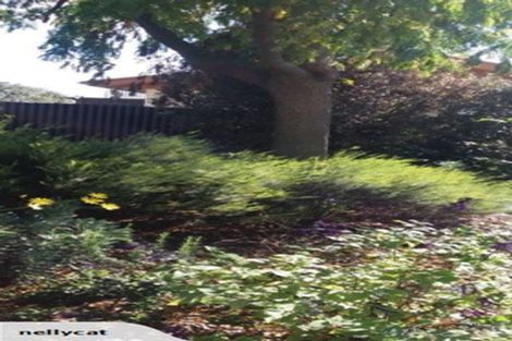 Photo of property in 2/47 Waverley Street, Richmond, 7020