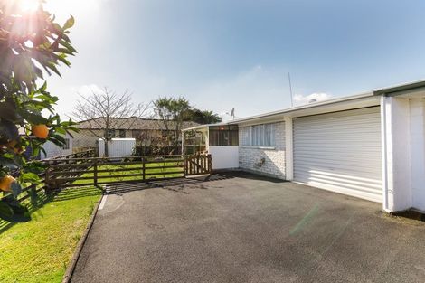 Photo of property in 73a Thompson Street, Leamington, Cambridge, 3432