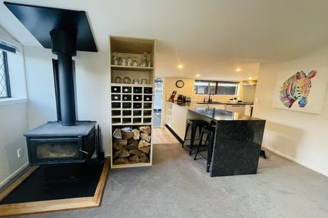 Photo of property in 163 Milton Street, Somerfield, Christchurch, 8024