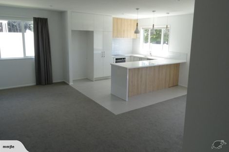 Photo of property in 133a Brookside Road, Rolleston, 7614