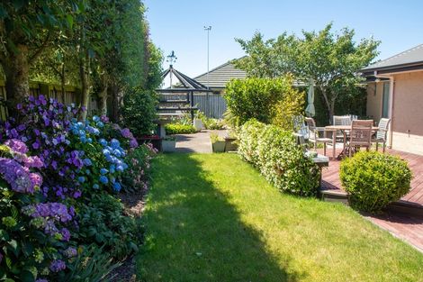 Photo of property in 52 Allison Crescent, Kaiapoi, 7630