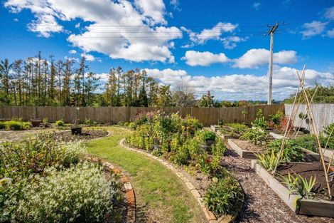 Photo of property in 41 Maire Street, Wairakei, Taupo, 3332