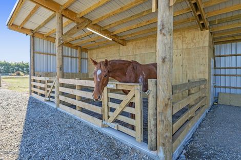 Photo of property in 27 Mcintoshs Road, Fernside, Rangiora, 7471