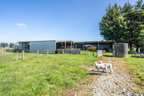 Photo of property in 597 Limestone Plains Road, Isla Bank, Otautau, 9683