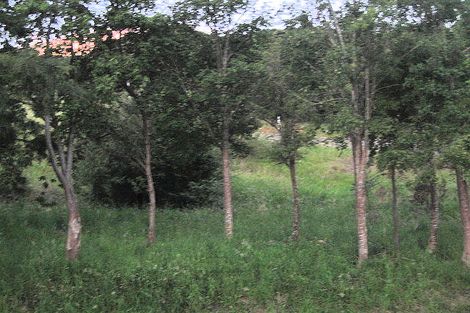 Photo of property in 21 Woodills Road, Akaroa, 7520