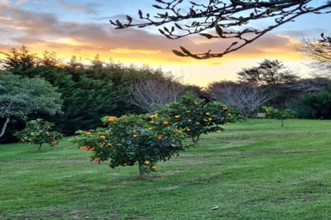 Photo of property in 1680 Tiki Sh25 Road, Preece Point, Coromandel, 3506