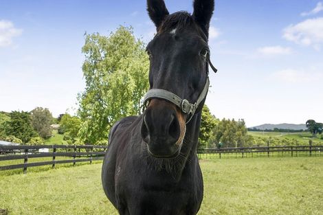 Photo of property in 631 Horsham Downs Road, Horsham Downs, Hamilton, 3281