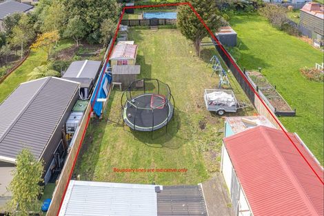 Photo of property in 36 Caius Avenue, Gonville, Whanganui, 4501