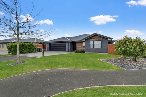 Photo of property in 93 Sunline Avenue, Lincoln, 7608