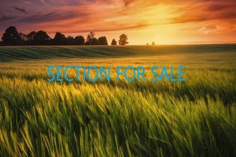 Photo of property in 101 Schoolside Road, Kumeu, 0810